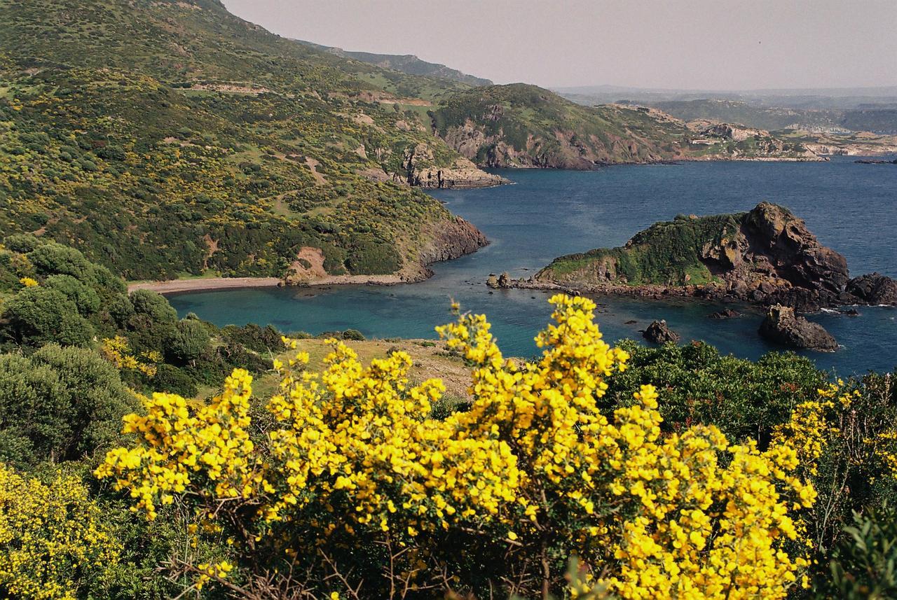 Casa vacanze Sandalia Bosa Esterno foto